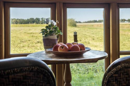 Hankensbuettel Apartment | Apartment Lüneburger Heide