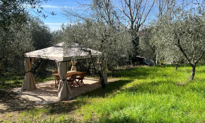 Settignano Apartment | Apartment "Olive Garden Loft - Settignano" with Shared Garden and Wi-Fi