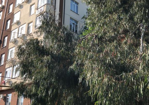 Golubye Dali Apartment | Apartment on Orbitovskaya
