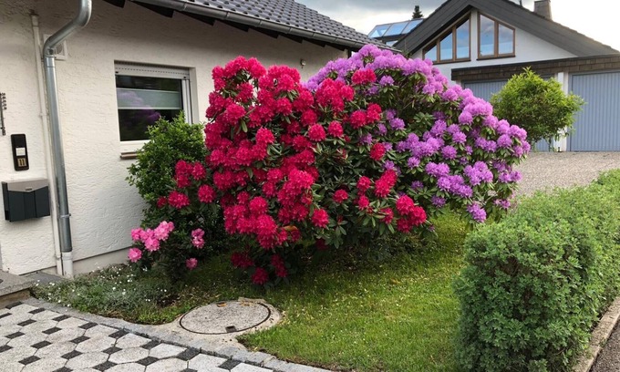 Unterkirnach Apartment | Apartment 'Schwarzwaldhirsch' with Private Terrace and Wi-Fi