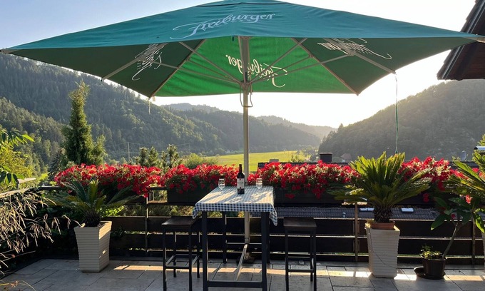 Wolfach Apartment | Apartment 'Sonnige Im Kinzigtal' with Mountain View, Private Terrace and Wi-Fi