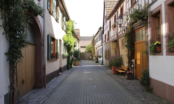 Bad Bergzabern Apartment | Apartment Sparrow - 3-bed apartment 45m²