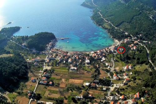 Zuljana Apartment | Apartments by the sea Zuljana, Peljesac - 19080