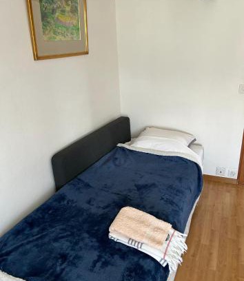 Crans-pres-Celigny Apartment | Appart cosy près du lac Léman