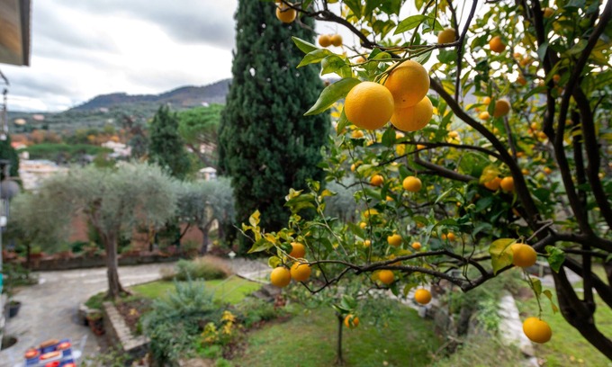 San Lorenzo della Costa Apartment | Appartamento in giardino, soggiorno minimo 5 notti