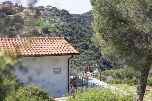 Patresi House | Appartamento il Nespolo - Helloelba