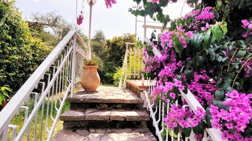 Lerici Apartment | Appartamento la Bouganville