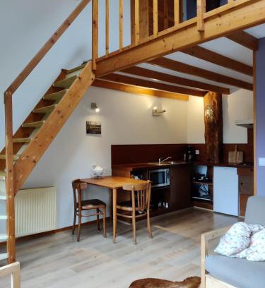 Leeuwarden Apartment | Appartement In Leeuwarden Mit Privater Terrasse