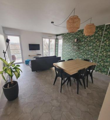 Montaudran - Lespinet Apartment | Appartement Moderne & Proche Commodités