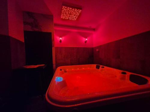 Thiers Apartment | Appartement Spa - Jacuzzi privatif - Fer Rêver 63