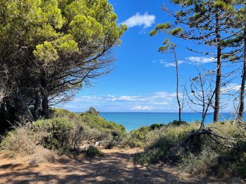 Bravone Apartment | Appartement T2 bord de mer N165