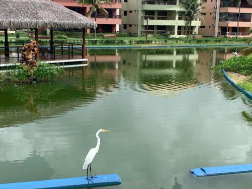 Eusebio Apartment | Aquaville - Porto das Dunas