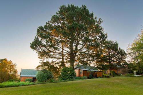 Molen Drift Bed & Breakfast | ArendsRus Country Resort
