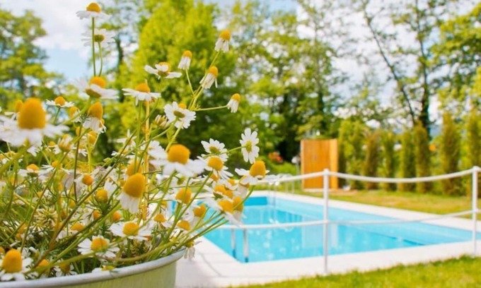 Olympiada Apartment | Aristotelia Gi Ikies - Cozy Poolside Suite