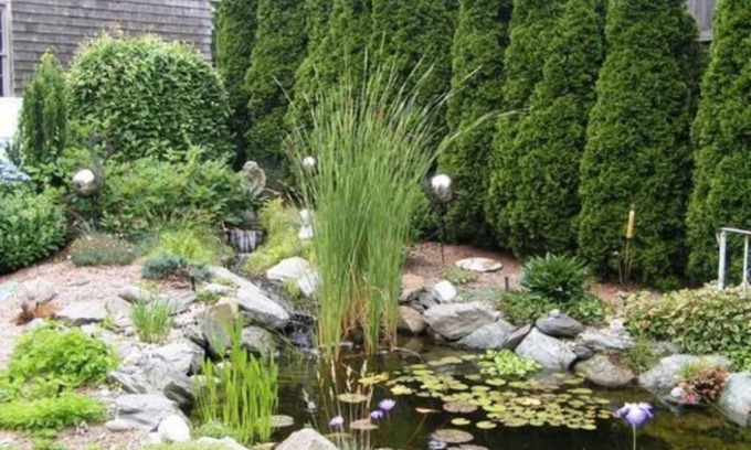 Top of the Hill Bed & Breakfast | Armistead Cottage B&B