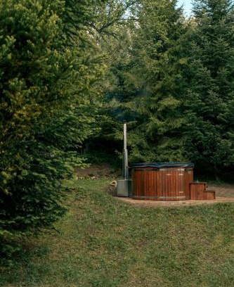 Lapsze Nizne House | Artist's House
