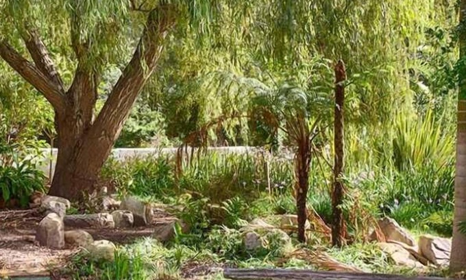 Kareedouw House | Assegaaibosch Country Lodge