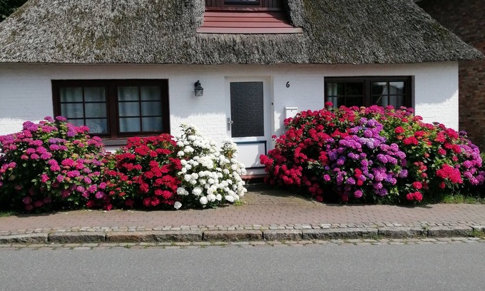 Schwabstedt House | At home between the seas - artist couple rents out their summer house.