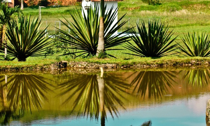 Vila Santa Alice House | At the foot of the Petrópolis mountains, 50 minutes from Rio, beautiful country house.