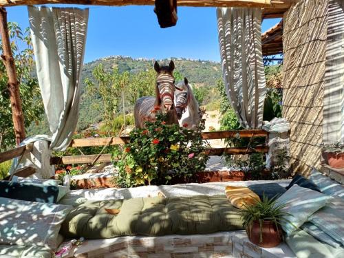 Tizi Ouzou Province House | Auberge De La Cavalière
