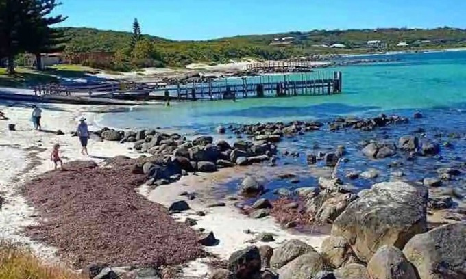 Augusta Hotel | Augusta Molloy sleeps 5 - Entire rental unit in Augusta, Australia UNIT 4nn