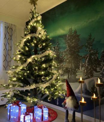 Rovaniemi House | Aurora Night Stay in Rovaniemi