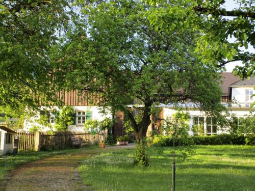 Helmbrechts House | Austragshaus Almbranz