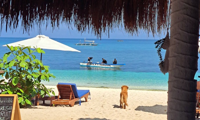 Daanbantayan Hostel | Avila's Horizon Dive Resort