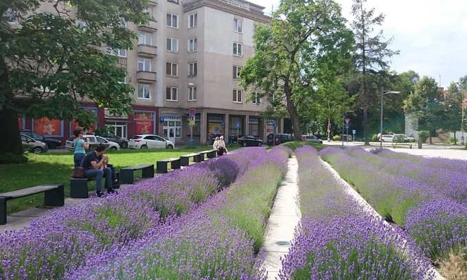 Kosice Old Town Apartment | Awesome 2BR city centre dream home+FREE garage