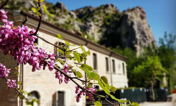 Furlo Bed & Breakfast | B&B Aquilegia