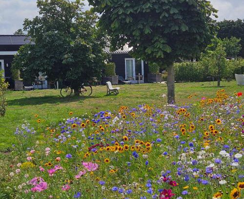 Sommelsdijk Bed & Breakfast | B&B Buutegeweun