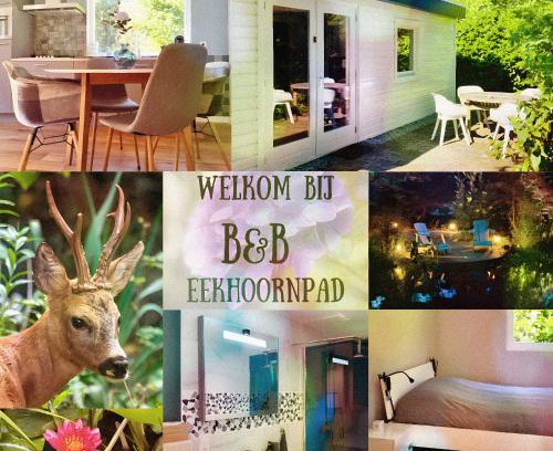 Municipality of Tilburg Bed & Breakfast | B&B Eekhoornpad