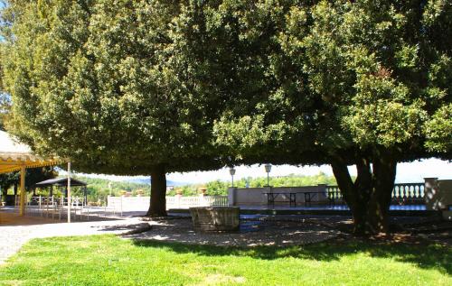 Subiaco Bed & Breakfast | B&b Il Leccio
