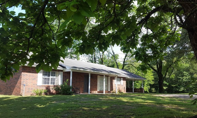 Story House | Backyard splendor!