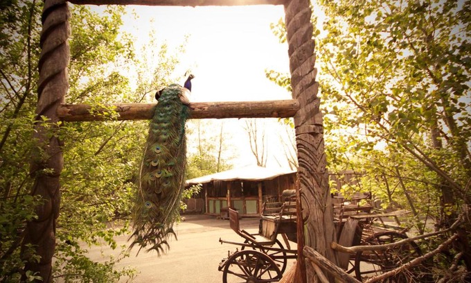 Groningen Bed & Breakfast | Bamboo Lodge Groningen
