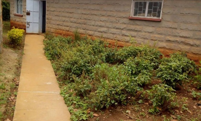 Nyeri Hotel | Banana Leaf Hotel