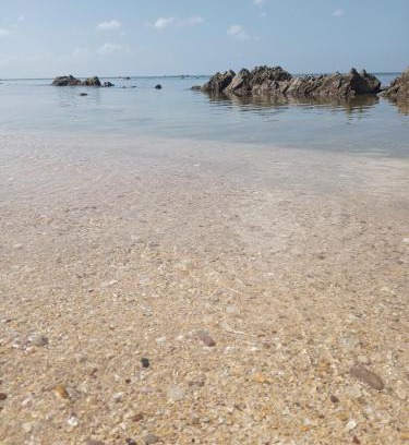 Nuea Khlong Other | Bangkaew Camping place bangalow