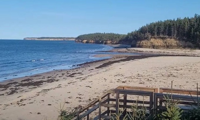 Black Rock Cabin | Beach access with Ocean View; Cabot Trail 25 km away.