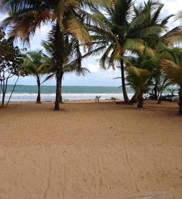 Zarzal Apartment | Beach Front Apartment Rio Mar Puerto Rico