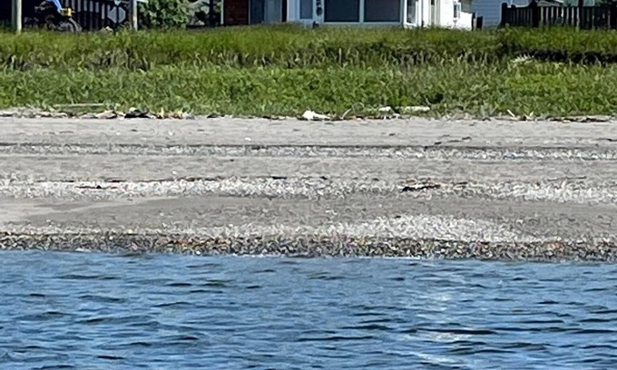 Cap-Chat House | Beach front quality house, open year round, Cap- Chat, Gaspesie, fishing, kayak,