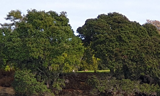 Pollok House | Beach House Awhitu peninsula