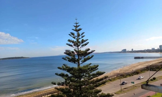 Punta del Este Apartment | Beachfront apartment in punta del este