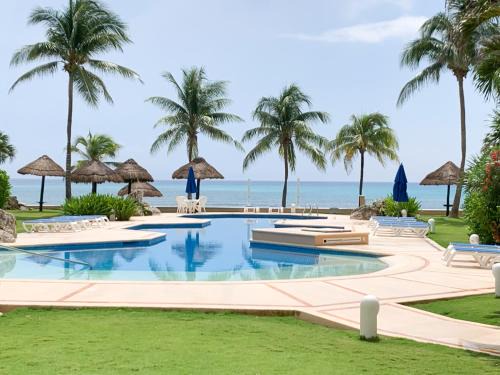 Puerto Aventuras Apartment | Beachfront Breathtaking Views Puerto Aventuras