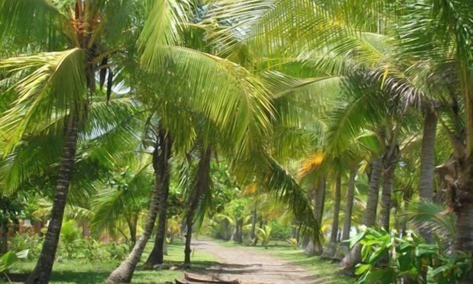 Esterillos Este House | Beachfront with Pool/Great Family House. Start living the Pura Vida today!