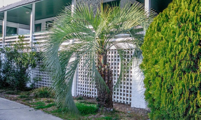 Tybee Island Apartment | Beachside Hideaway: Cozy Retreat Steps from Tybee’s South Beach