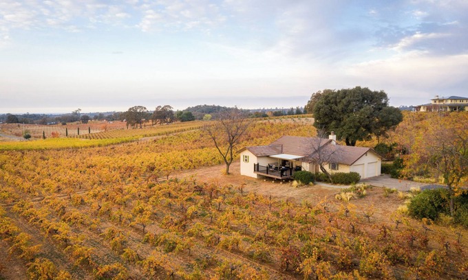 Shenandoah Valley Cottage | Beautiful 2 bedroom 2 bath Vineyard house located in a vineyard on 40 acres