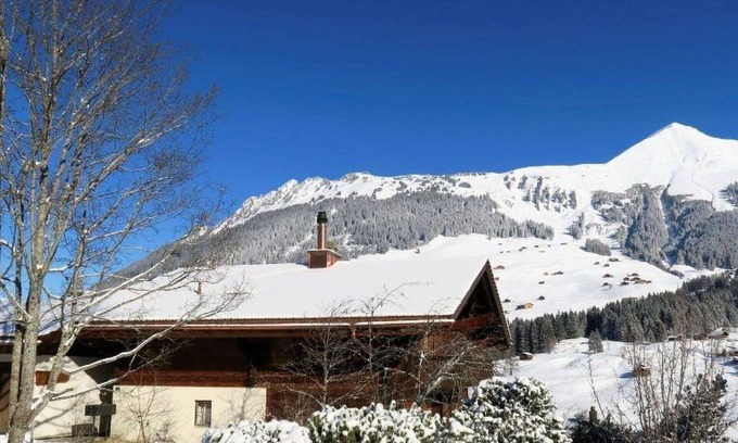 Lauenen Apartment | Beautiful apartment for 4 people with WIFI and balcony