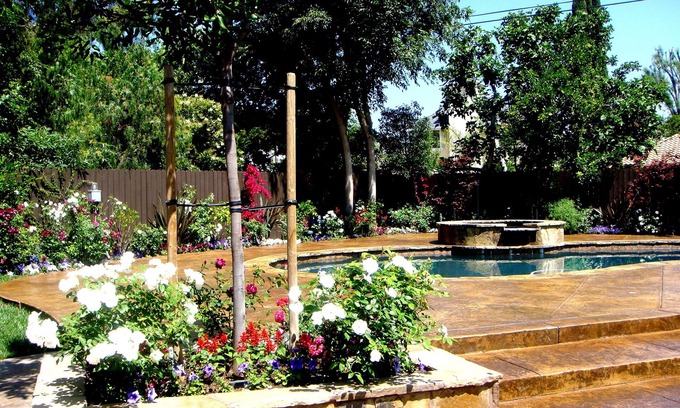 Northridge House | Beautiful, Luxurious, Resort Like Home in Sherwood Forest, California
