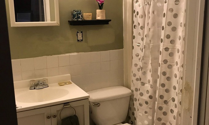 North Buffalo House | Beautiful north Buffalo home steps from Hertel ave and Delaware Park