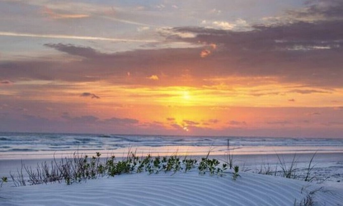 New Smyrna Beach Condo | BEAUTIFUL ocean front/view 1 bed condo on NO DRIVE NSB, WIFI